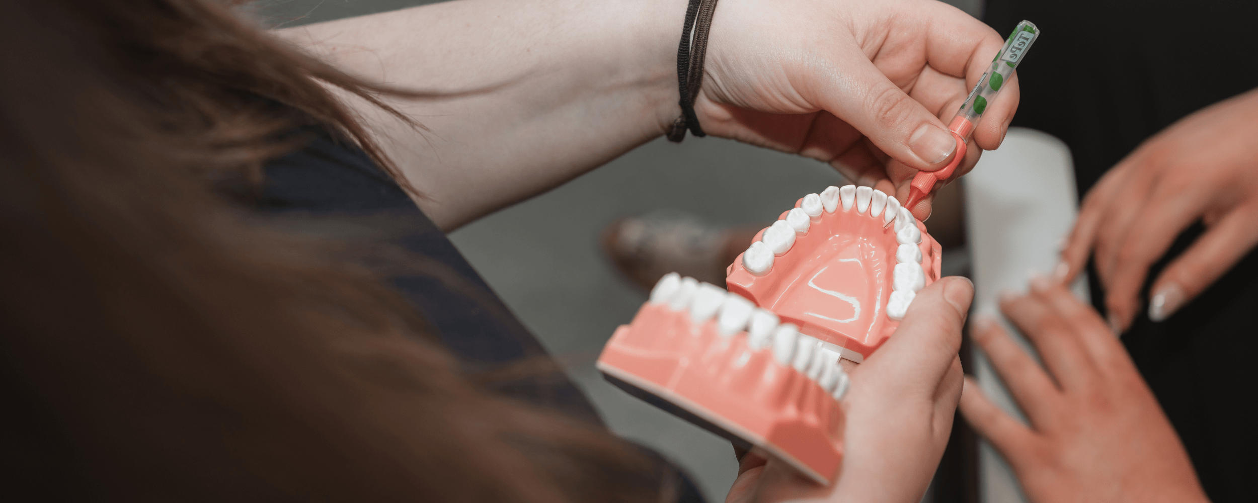 Professional Dental Hygiene Appointments